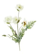 Roślina szt.- białe maki bukiet 5 kwiatów_Aluro